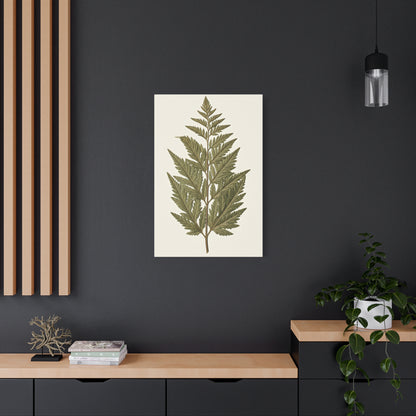 Classic Fern Illustration Wall Art & Canvas Prints