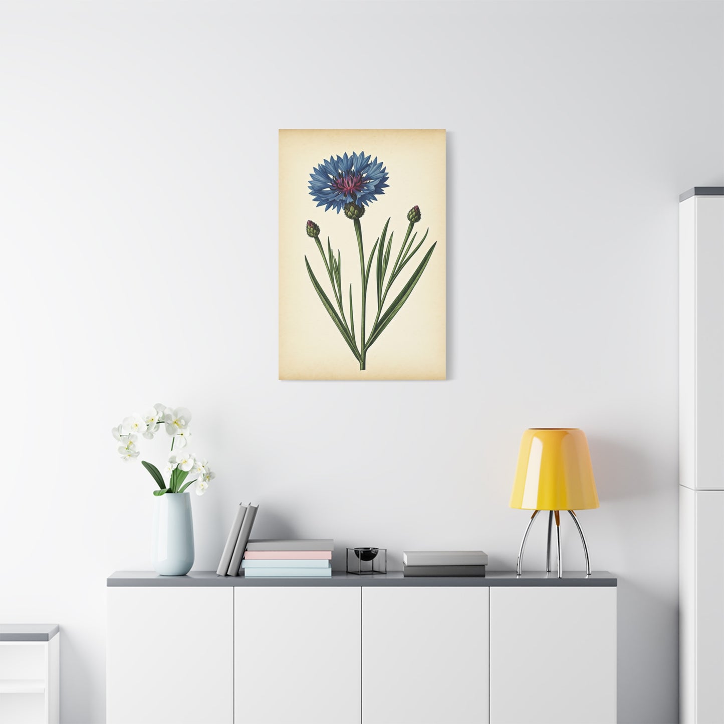 Cornflower Wildflower Illustration Wall Art & Canvas Prints