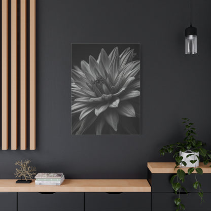Monochrome Layered Dahlia Bloom Wall Art & Canvas Prints