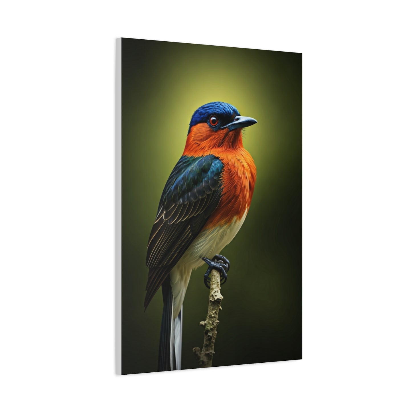 Vibrant Bluebird Perch Wall Art & Canvas Prints