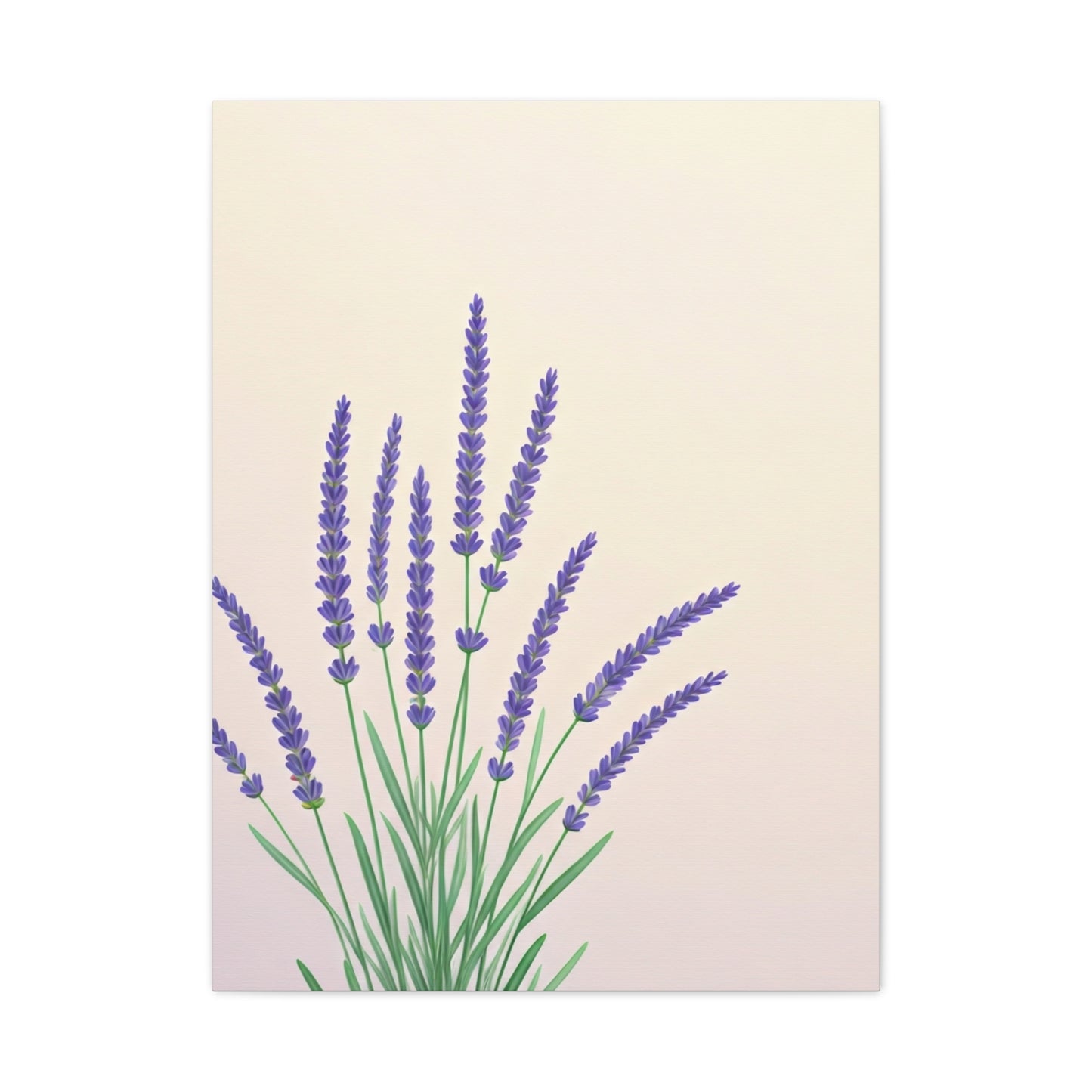 Lavender Botanical Minimal Illustration Wall Art & Canvas Prints