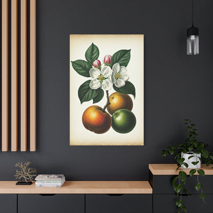 Citrus Fruit Illustration Wall Art & Canvas Prints
