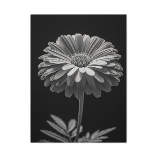 Classic Gerbera Portrait Wall Art & Canvas Prints
