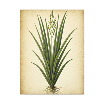 Wild Grass Illustration Wall Art & Canvas Prints